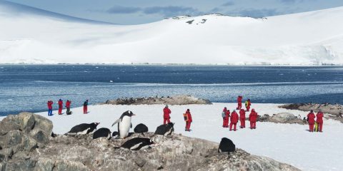 Polar_Antartida_Pinguinos